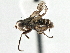  ( - CCDB-21320-B07)  @13 [ ] CreativeCommons - Attribution (2014) CBG Photography Group Centre for Biodiversity Genomics