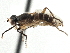  ( - CCDB-21320-B10)  @14 [ ] CreativeCommons - Attribution (2014) CBG Photography Group Centre for Biodiversity Genomics