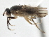  ( - CCDB-21320-C01)  @14 [ ] CreativeCommons - Attribution (2014) CBG Photography Group Centre for Biodiversity Genomics