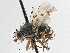  ( - CCDB-21320-E06)  @13 [ ] CreativeCommons - Attribution (2014) CBG Photography Group Centre for Biodiversity Genomics