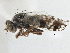  ( - CCDB-21323-A08)  @12 [ ] CreativeCommons - Attribution (2014) CBG Photography Group Centre for Biodiversity Genomics