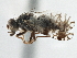  ( - CCDB-21323-A09)  @11 [ ] CreativeCommons - Attribution (2014) CBG Photography Group Centre for Biodiversity Genomics