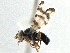  ( - CCDB-21323-B08)  @13 [ ] CreativeCommons - Attribution (2014) CBG Photography Group Centre for Biodiversity Genomics