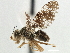  ( - CCDB-21323-B12)  @11 [ ] CreativeCommons - Attribution (2014) CBG Photography Group Centre for Biodiversity Genomics