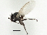  ( - CCDB-21325-B11)  @12 [ ] CreativeCommons - Attribution (2014) CBG Photography Group Centre for Biodiversity Genomics