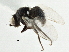  ( - CCDB-21325-B12)  @11 [ ] CreativeCommons - Attribution (2014) CBG Photography Group Centre for Biodiversity Genomics
