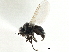  ( - CCDB-21325-C01)  @11 [ ] CreativeCommons - Attribution (2014) CBG Photography Group Centre for Biodiversity Genomics