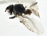  ( - CCDB-21325-C03)  @12 [ ] CreativeCommons - Attribution (2014) CBG Photography Group Centre for Biodiversity Genomics