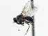  ( - CCDB-21325-F01)  @14 [ ] CreativeCommons - Attribution (2014) CBG Photography Group Centre for Biodiversity Genomics