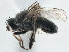  ( - CCDB-21325-F04)  @14 [ ] CreativeCommons - Attribution (2014) CBG Photography Group Centre for Biodiversity Genomics
