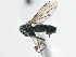  ( - CCDB-21325-F07)  @12 [ ] CreativeCommons - Attribution (2014) CBG Photography Group Centre for Biodiversity Genomics
