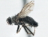  ( - CCDB-21325-F08)  @13 [ ] CreativeCommons - Attribution (2014) CBG Photography Group Centre for Biodiversity Genomics