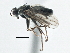  ( - CCDB-21325-F09)  @13 [ ] CreativeCommons - Attribution (2014) CBG Photography Group Centre for Biodiversity Genomics