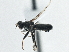  ( - CCDB-21325-F10)  @13 [ ] CreativeCommons - Attribution (2014) CBG Photography Group Centre for Biodiversity Genomics
