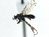  ( - CCDB-21325-F11)  @13 [ ] CreativeCommons - Attribution (2014) CBG Photography Group Centre for Biodiversity Genomics