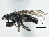  ( - CCDB-21325-G01)  @13 [ ] CreativeCommons - Attribution (2014) CBG Photography Group Centre for Biodiversity Genomics