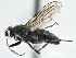  ( - CCDB-21325-G03)  @14 [ ] CreativeCommons - Attribution (2014) CBG Photography Group Centre for Biodiversity Genomics