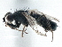  ( - CCDB-21325-G05)  @13 [ ] CreativeCommons - Attribution (2014) CBG Photography Group Centre for Biodiversity Genomics
