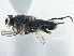  ( - CCDB-21325-G06)  @13 [ ] CreativeCommons - Attribution (2014) CBG Photography Group Centre for Biodiversity Genomics