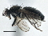  ( - CCDB-21325-G07)  @13 [ ] CreativeCommons - Attribution (2014) CBG Photography Group Centre for Biodiversity Genomics