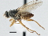  ( - CCDB-21325-H08)  @14 [ ] CreativeCommons - Attribution (2014) CBG Photography Group Centre for Biodiversity Genomics
