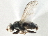  ( - CCDB-21327-A12)  @15 [ ] CreativeCommons - Attribution (2014) CBG Photography Group Centre for Biodiversity Genomics
