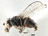  ( - CCDB-21327-B01)  @14 [ ] CreativeCommons - Attribution (2014) CBG Photography Group Centre for Biodiversity Genomics