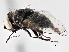  ( - CCDB-21327-C02)  @11 [ ] CreativeCommons - Attribution (2014) CBG Photography Group Centre for Biodiversity Genomics