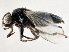  ( - CCDB-21327-C07)  @11 [ ] CreativeCommons - Attribution (2014) CBG Photography Group Centre for Biodiversity Genomics