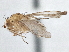  ( - CCDB-21327-F05)  @13 [ ] CreativeCommons - Attribution (2014) CBG Photography Group Centre for Biodiversity Genomics