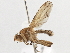  ( - CCDB-21327-F09)  @14 [ ] CreativeCommons - Attribution (2014) CBG Photography Group Centre for Biodiversity Genomics