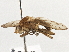  ( - CCDB-21327-F10)  @14 [ ] CreativeCommons - Attribution (2014) CBG Photography Group Centre for Biodiversity Genomics