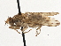  ( - CCDB-21327-F12)  @14 [ ] CreativeCommons - Attribution (2014) CBG Photography Group Centre for Biodiversity Genomics