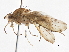  ( - CCDB-21327-G01)  @13 [ ] CreativeCommons - Attribution (2014) CBG Photography Group Centre for Biodiversity Genomics