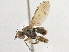  ( - CCDB-21327-G06)  @14 [ ] CreativeCommons - Attribution (2014) CBG Photography Group Centre for Biodiversity Genomics