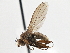  ( - CCDB-21327-H01)  @13 [ ] CreativeCommons - Attribution (2014) CBG Photography Group Centre for Biodiversity Genomics