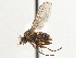  ( - CCDB-21327-H02)  @11 [ ] CreativeCommons - Attribution (2014) CBG Photography Group Centre for Biodiversity Genomics