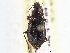  ( - CCDB-21331-D03)  @11 [ ] CreativeCommons - Attribution (2014) CBG Photography Group Centre for Biodiversity Genomics