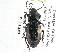  ( - CCDB-21331-F07)  @13 [ ] CreativeCommons - Attribution (2014) CBG Photography Group Centre for Biodiversity Genomics