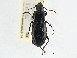  ( - CCDB-21331-G01)  @11 [ ] CreativeCommons - Attribution (2014) CBG Photography Group Centre for Biodiversity Genomics