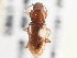  ( - CCDB-21333-C04)  @11 [ ] CreativeCommons - Attribution (2014) CBG Photography Group Centre for Biodiversity Genomics