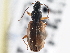  ( - CCDB-21333-D09)  @11 [ ] CreativeCommons - Attribution (2014) CBG Photography Group Centre for Biodiversity Genomics