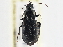 ( - CCDB-21333-F04)  @11 [ ] CreativeCommons - Attribution (2014) CBG Photography Group Centre for Biodiversity Genomics