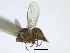  ( - CCDB-21422-A02)  @11 [ ] CreativeCommons - Attribution (2014) CBG Photography Group Centre for Biodiversity Genomics