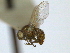  ( - CCDB-21422-A03)  @11 [ ] CreativeCommons - Attribution (2014) CBG Photography Group Centre for Biodiversity Genomics