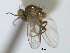  ( - CCDB-21422-A05)  @11 [ ] CreativeCommons - Attribution (2014) CBG Photography Group Centre for Biodiversity Genomics