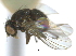  ( - CCDB-21422-B09)  @11 [ ] CreativeCommons - Attribution (2014) CBG Photography Group Centre for Biodiversity Genomics