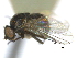  ( - CCDB-21422-B12)  @11 [ ] CreativeCommons - Attribution (2014) CBG Photography Group Centre for Biodiversity Genomics