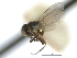  ( - CCDB-21422-D04)  @12 [ ] CreativeCommons - Attribution (2014) CBG Photography Group Centre for Biodiversity Genomics