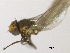  ( - CCDB-21422-D06)  @12 [ ] CreativeCommons - Attribution (2014) CBG Photography Group Centre for Biodiversity Genomics